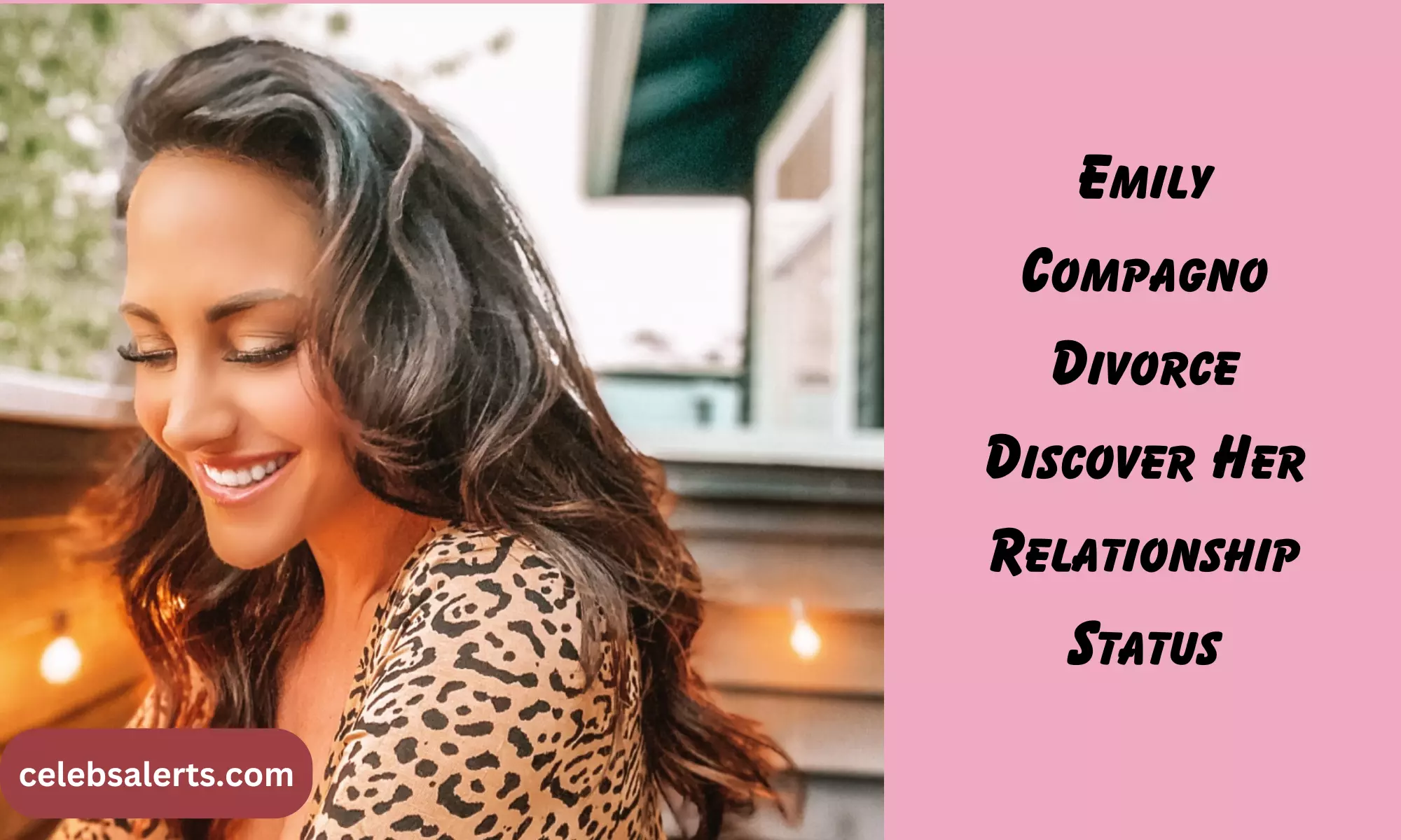 Emily Compagno Divorce: Discover Her Relationship Status